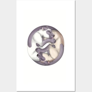 Yin-Yang Cats: Lilac Point Posters and Art